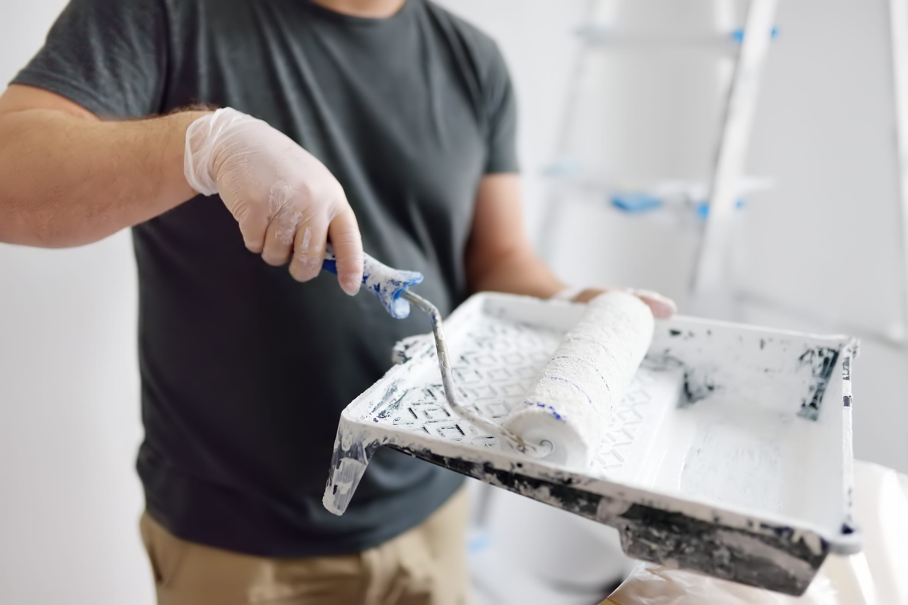 Project reference for Interior Painting in Brakpan — paint roller refill