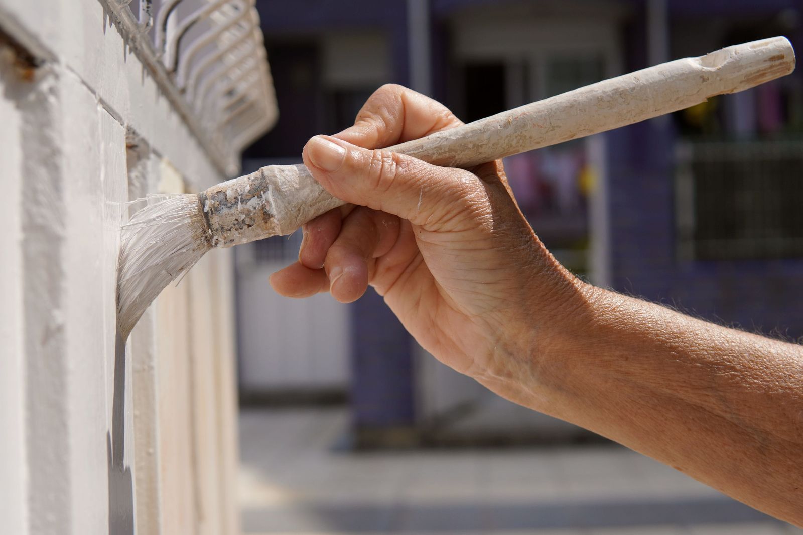 Project reference for Painting Contractor in Brakpan — door painting